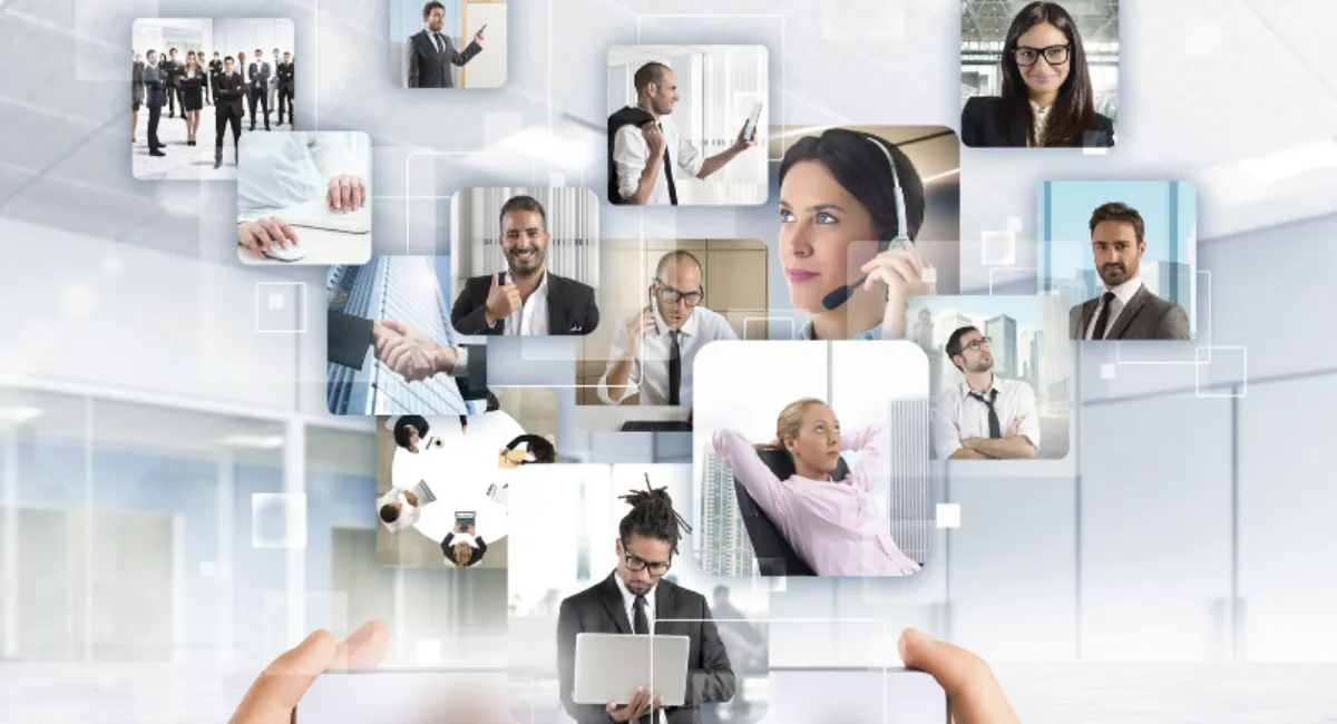 Successful Project Manager I: Defining One’s Role in a Company