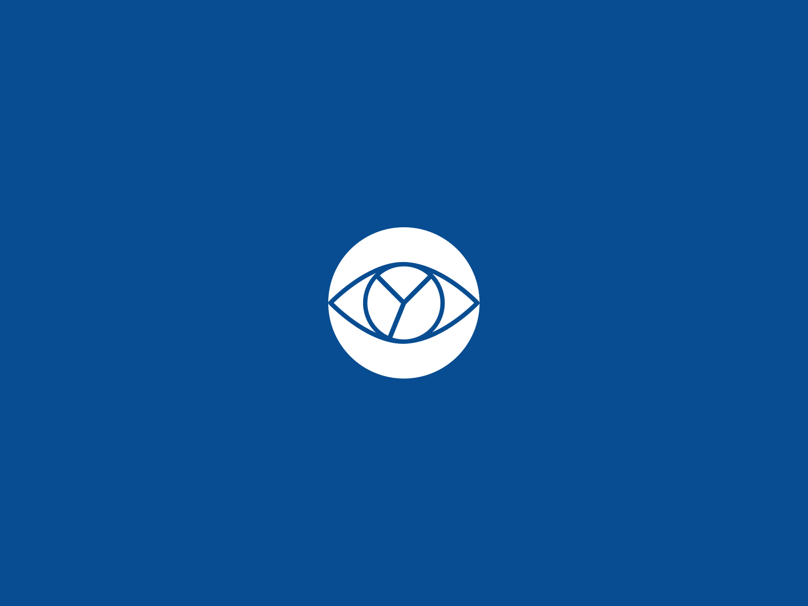 2Project Sponsor Programme