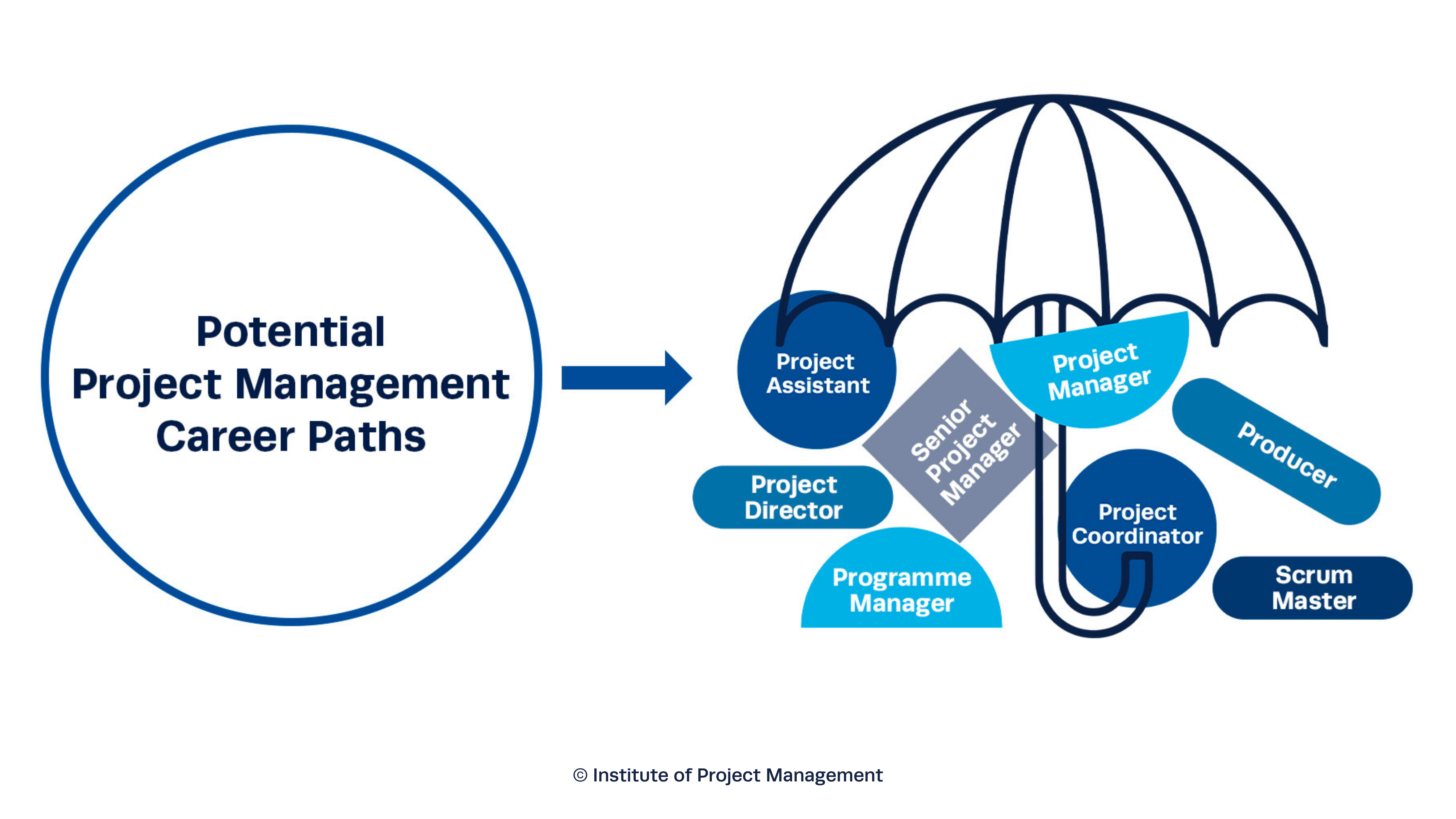 Potential Project Management Career Paths