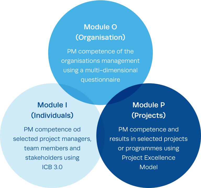 IPMA Delta's I/P/O Model helps improve the prestige and function of organisations