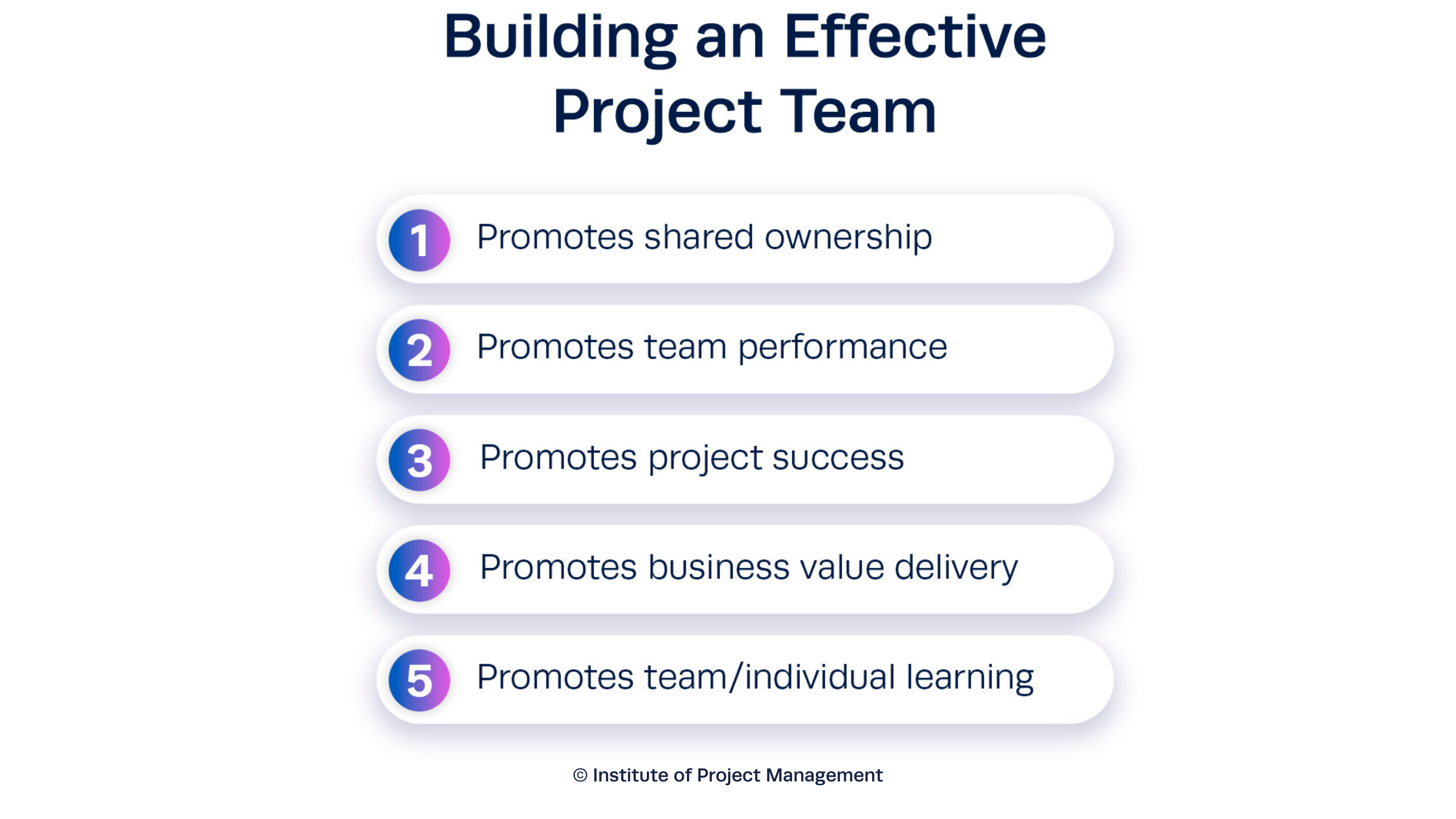 Building an Effective Project Team