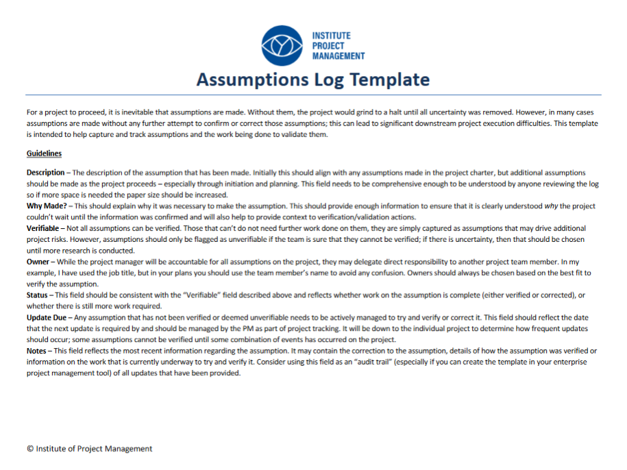 Assumption Log - Template
