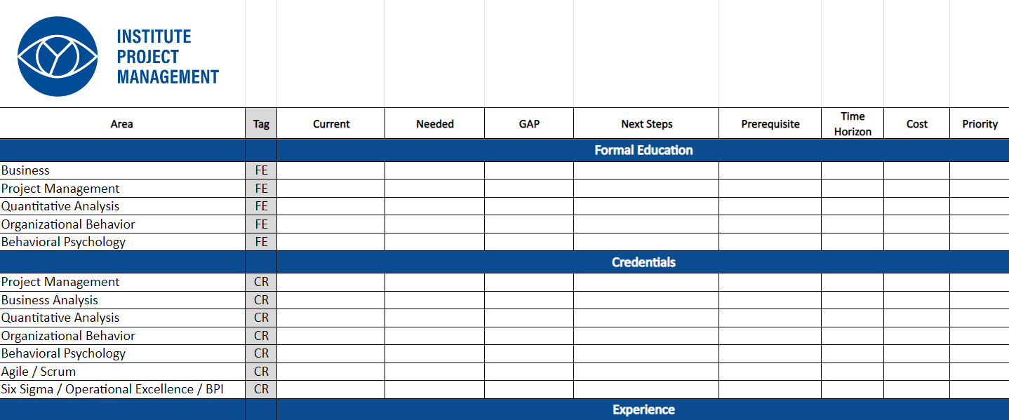 Career Assessment Template