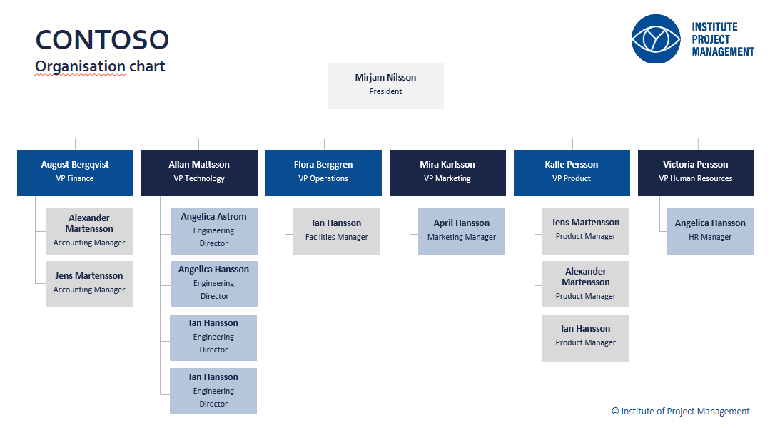 Project Organisational Chart Template