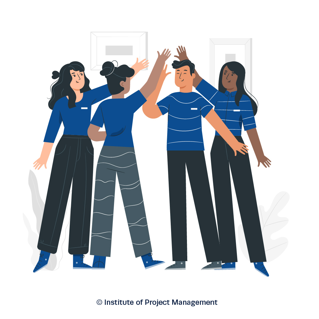 project management diversity