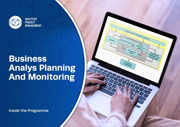 15---Business-Analyst-Course-(PMI-PBA)2
