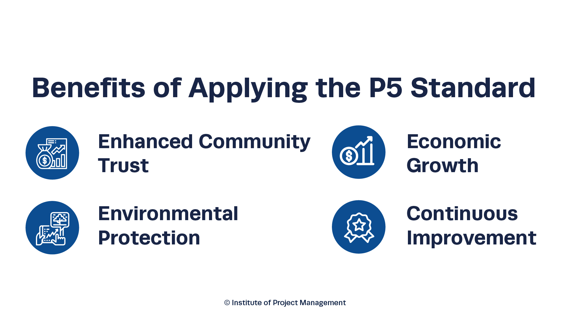 P5 standard in project management