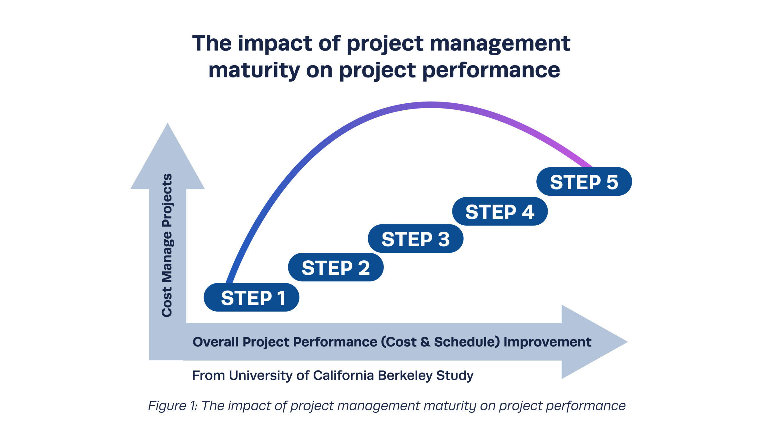 project management infographic