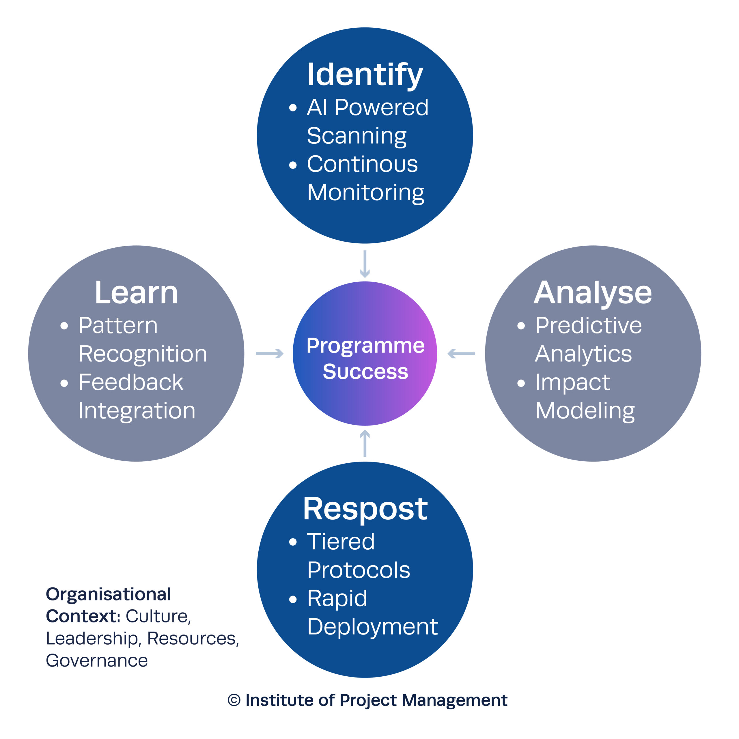 Organisational Context Infographic
