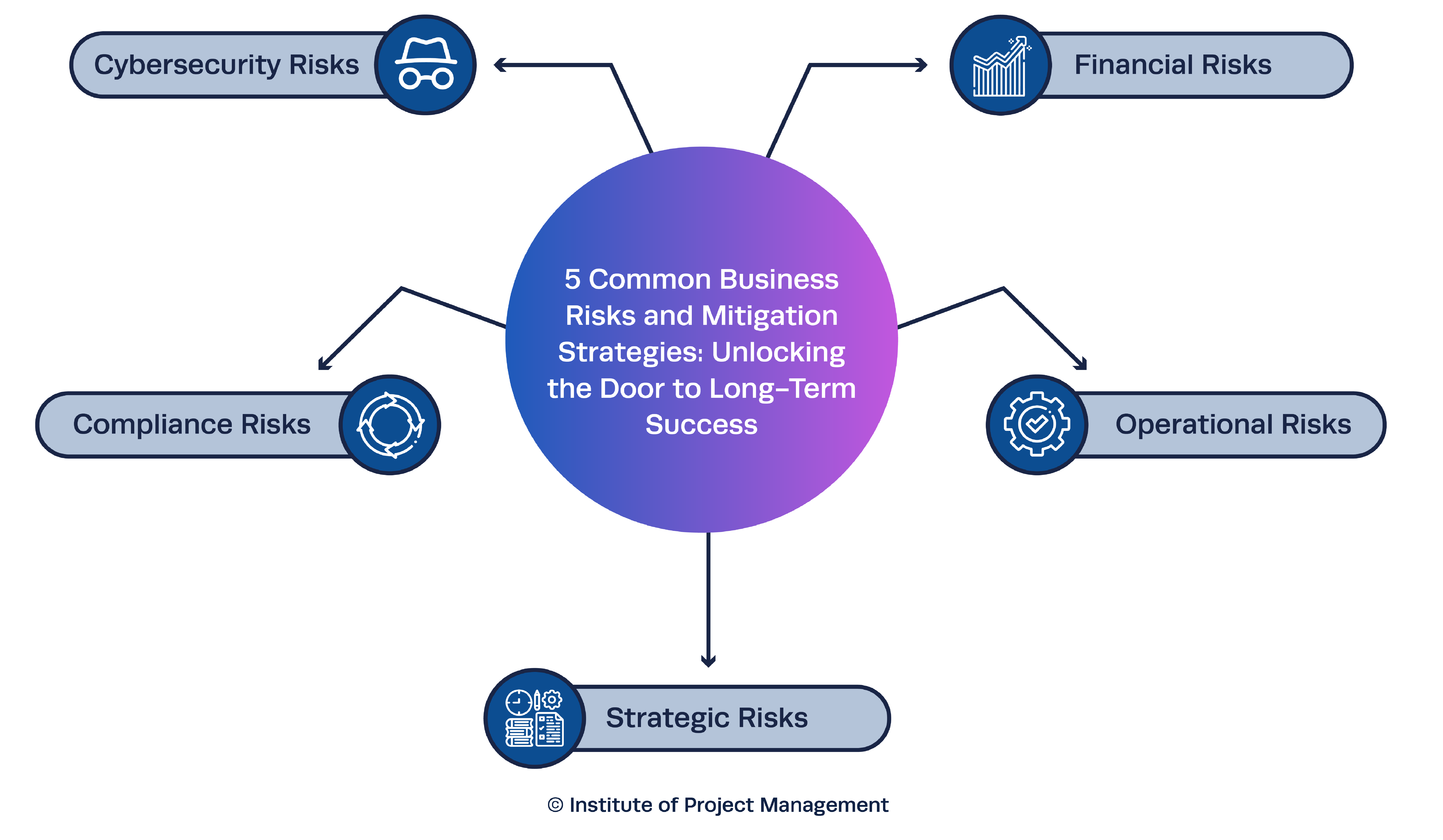 Five Common Business Risks and Mitigation Strategy - Infographic