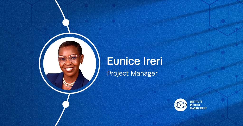 The Missing (I) in the TEAM: Why Project Managers Often Deliver Alone 